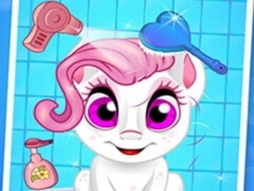 pet-wash