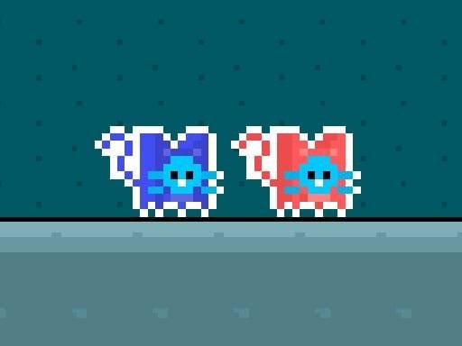 red-and-blue-cats
