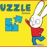 Simon Puzzle